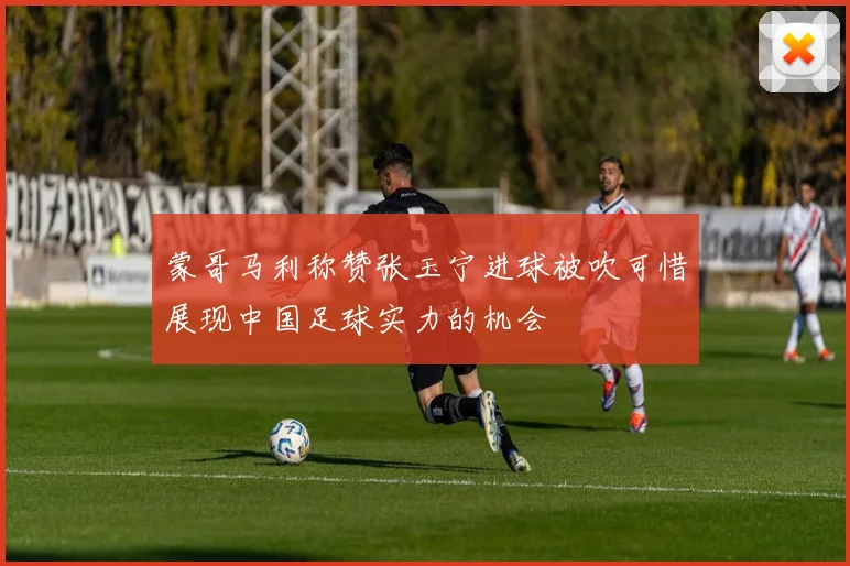 蒙哥马利称赞张玉宁进球被吹可惜展现中国足球实力的机会